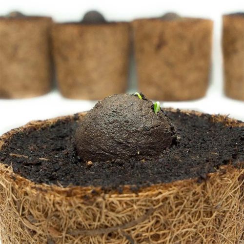 Frobombe i pose - Billede 2